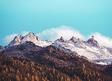 被遗忘的专精——《地心之战》第三赛季史诗难度 Manaforge Omega 第19周 DPS 排行榜