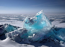 《障目 / Cling to Blindness》现已发售!