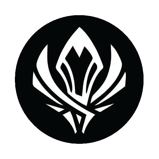 2025MSI